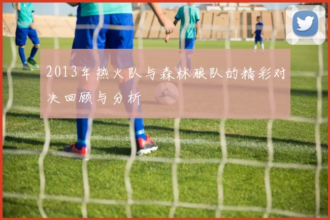 2013年热火队与森林狼队的精彩对决回顾与分析