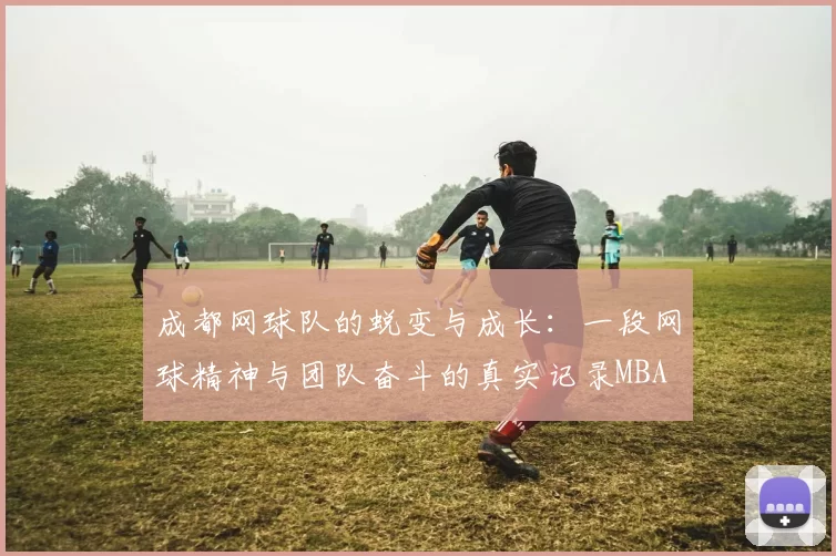 成都网球队的蜕变与成长：一段网球精神与团队奋斗的真实记录MBA