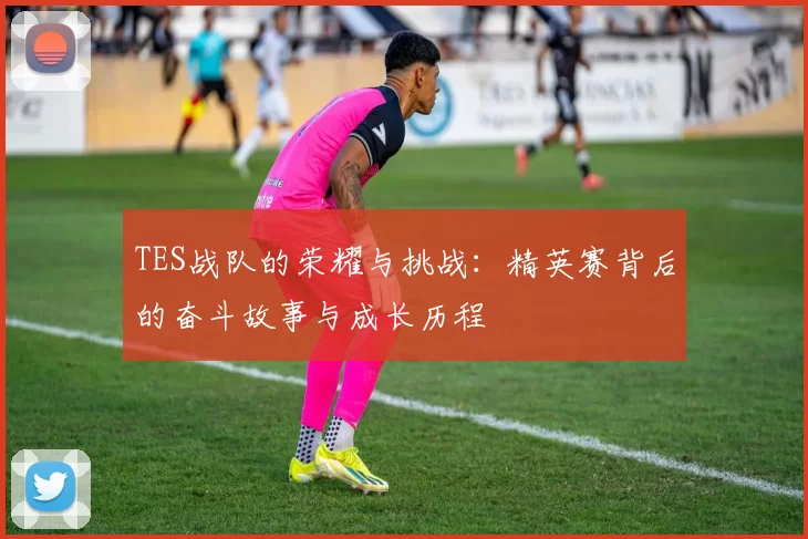 TES战队的荣耀与挑战：精英赛背后的奋斗故事与成长历程