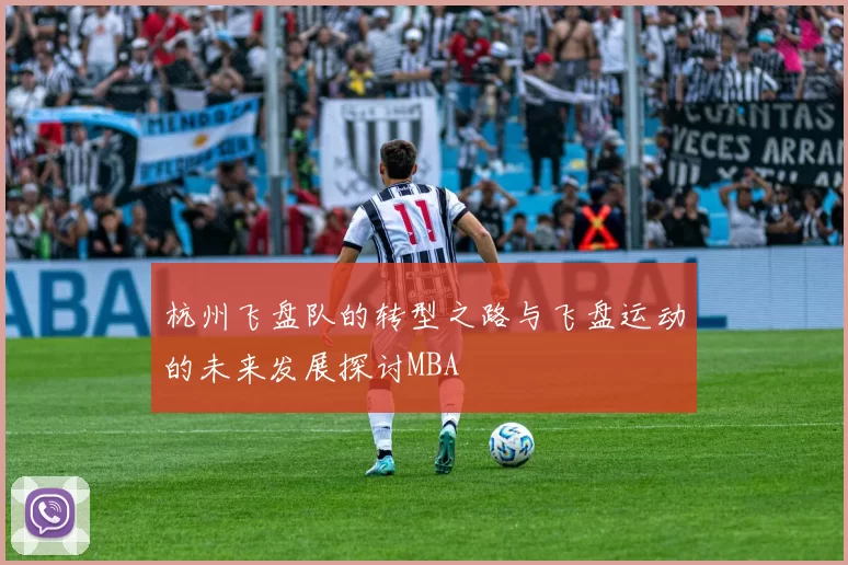 杭州飞盘队的转型之路与飞盘运动的未来发展探讨MBA
