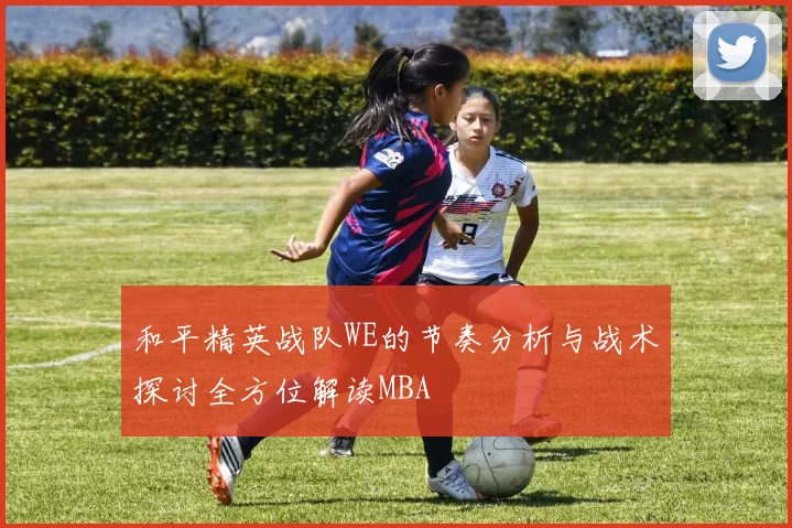 和平精英战队WE的节奏分析与战术探讨全方位解读MBA