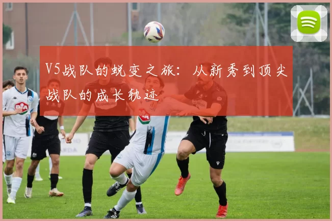 V5战队的蜕变之旅：从新秀到顶尖战队的成长轨迹